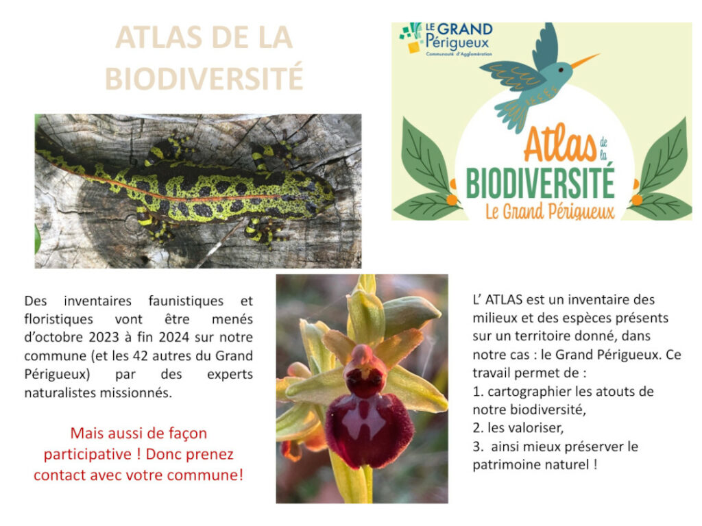 Atlas biodiversité